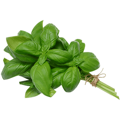 Basil Leaves image